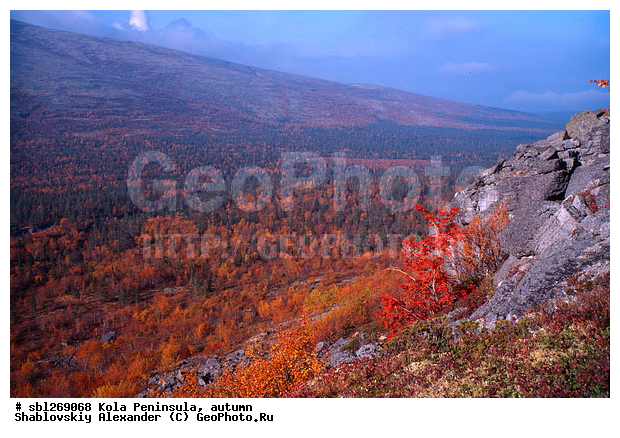 �������� ����������, ������� ����, �����