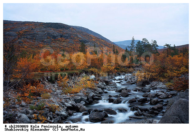 �������� ����������, ������� ����, �����