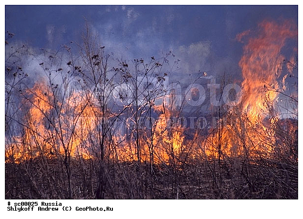 �����, ������, ������, ���, �����, �����, �������