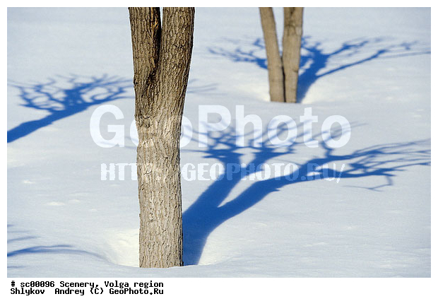Russia, Shadow, Tatarstan, Tree, Winter, landscape, scenery, snow