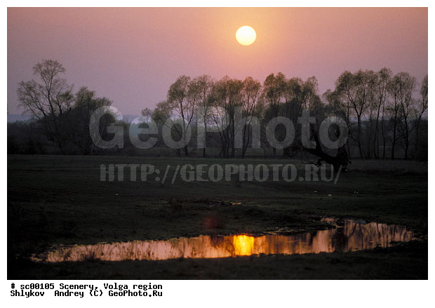 Russia, Tatarstan, Tree, lake, landscape, scenery, sunset, willows