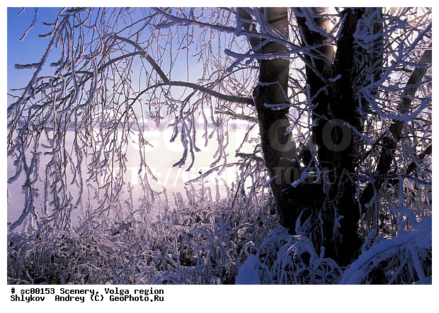 Russia, Snow, Tatarstan, Winter, landscape, scenery, tree