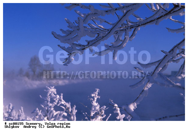 Russia, Snow, Tatarstan, Winter, landscape, river, scenery, tree