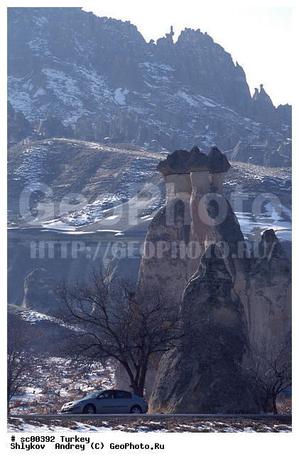 Shadows, snow, trees, winter