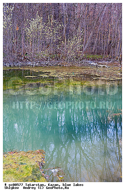 ������� �����, ���������, ������, �������, �����, �����, ����