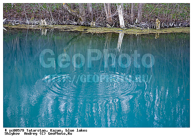 ������� �����, ���������, ������, �������, �����, �����, ����