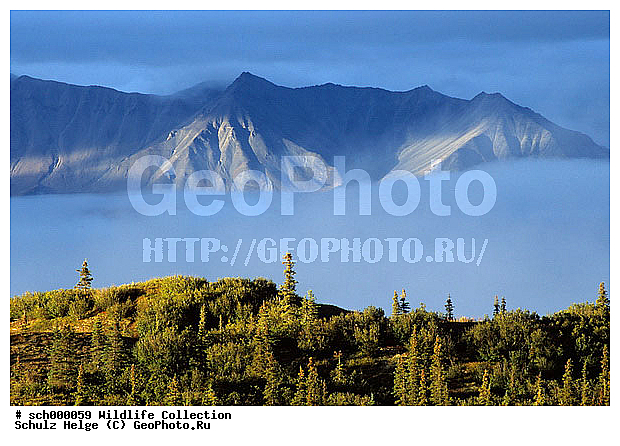 Alaska, Alaskabergkette, America, Amerika, Berg, Berge, Bergkette, Bergketten, Denali-Nationalpark, Denali Nationalpark, Gebirge, Herbst, Herbstfarben, Herbstimmungen, Herbststimmung, Indian summer, Nordamerika, North America, Tundra, Tundralandschaft, USA, United States, United States of America, Vereinigte Staaten, Vereinigte Staaten von Amerika, alaskarange, alaska range, autumn, autumnal color, autumnal colors, autumnal colour, autumnal colours, autumn color, autumn colors, autumn colour, autumn colours, countryside, fall, fall color, fall colors, fall colour, fall colours, herbstliche Tundra, landscape, mountain, mountain chain, mountainous ridge, mountain range, mountains, range, ranges, ridge, scenery, scenic, ������, ������, ����� �������, ��������, ������������ ����, �������, �����, ������, �����
