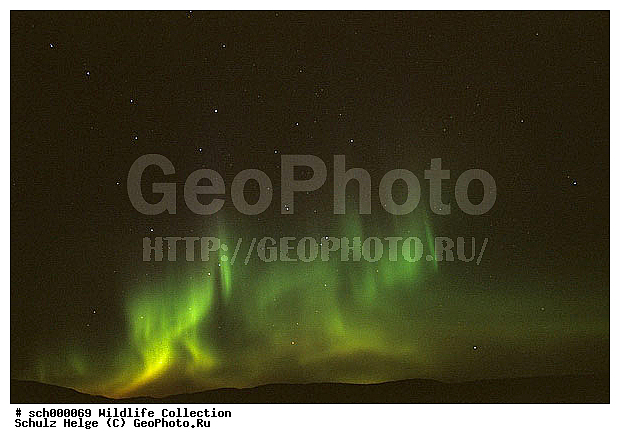 Alaska, America, Amerika, Aurora australis, Aurora borealis, Denali-Nationalpark, Denali Nationalpark, Nordamerika, Nordlicht, Nordlichter, North America, Polarlicht, Polarlichter, USA, United States, United States of America, Vereinigte Staaten, Vereinigte Staaten von Amerika, countryside, landscape, northern light, northern lights, polar light, polar lights, scenery, scenic, ������, ������, ����� �������, ��������, ������������ ����, �������, �����, ������, �����
