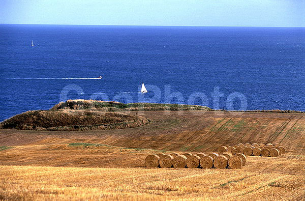 ��������� ���������, �������� ����, ���������, �����, ���������, ����, ���������, ��������, �����