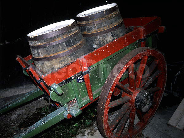 ��������� ���������, ���������, ��������, ���������, �����, ���������, ��������, �����, ����������� �����