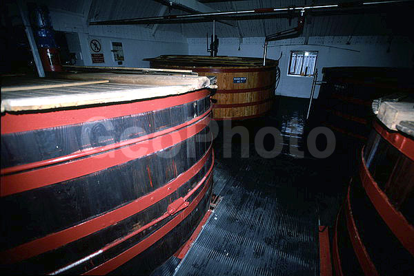 ��������� ���������, ���������, ��������, ���������, �����, ���������, ��������, �����, ����������� �����