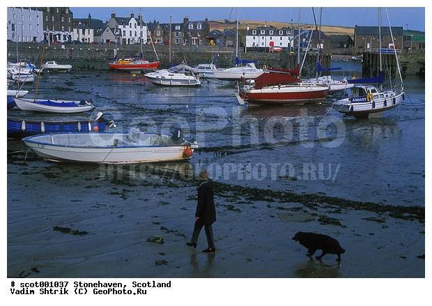 ����������, ���������, ����, ����, ���� � �����