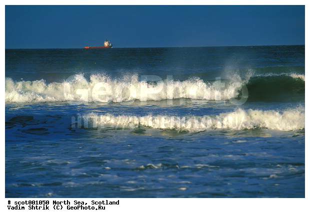 �������, �������� ����, ���������, �����, ����