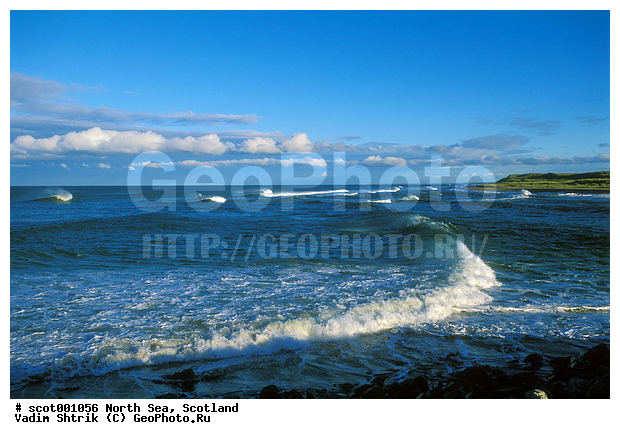 �������, �������� ����, ���������, �����, ����