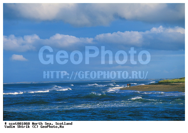 �������, �������� ����, ���������, �����, ����