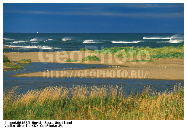 �������, �������� ����, ���������, �����, ��������� �����, �����, ����