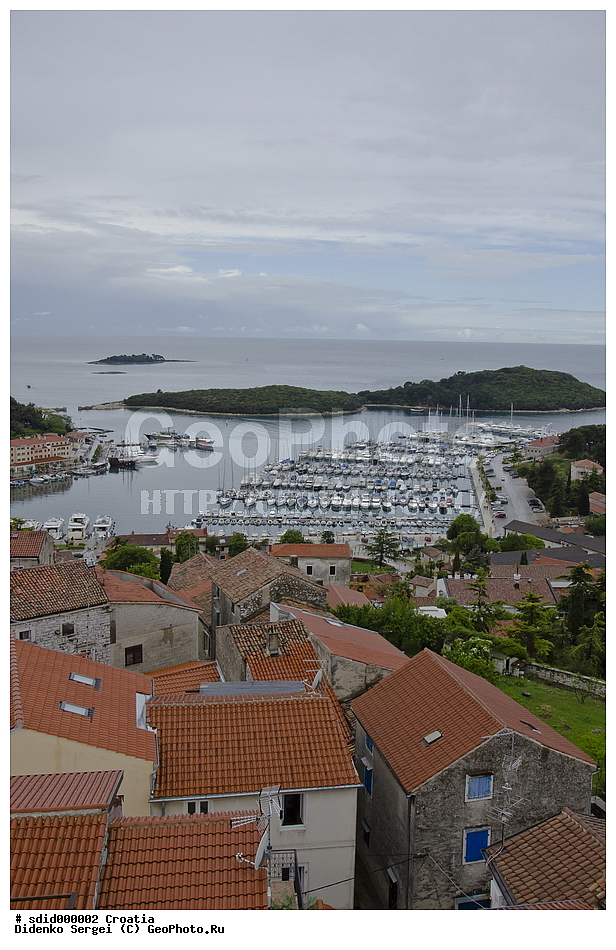 �����, ��������, ������, ������������� ����, ����, �������, ������� ��������, ��������.