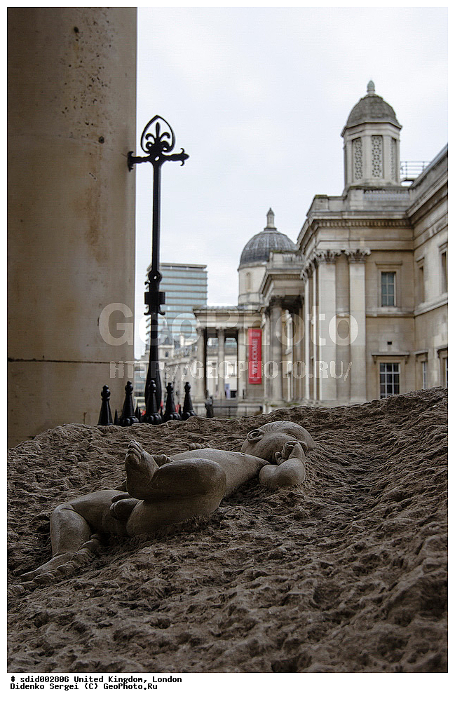 ��������������, �����������, ������