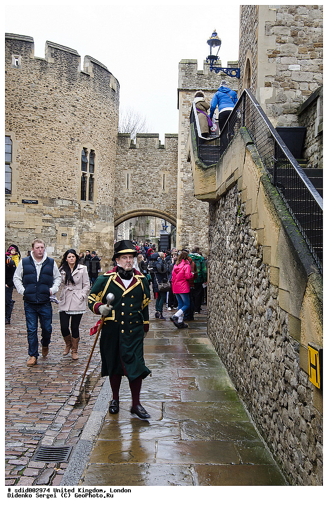 �����, ��������������, �����������, ������, �����, �����, ��������, �����, ������, ����, ������, ��������, ��������, ����, ���������, ���������,