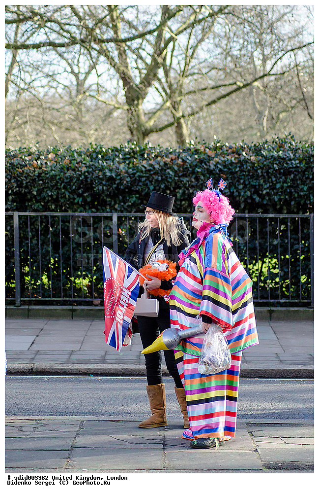 ��������������, �����������, ������