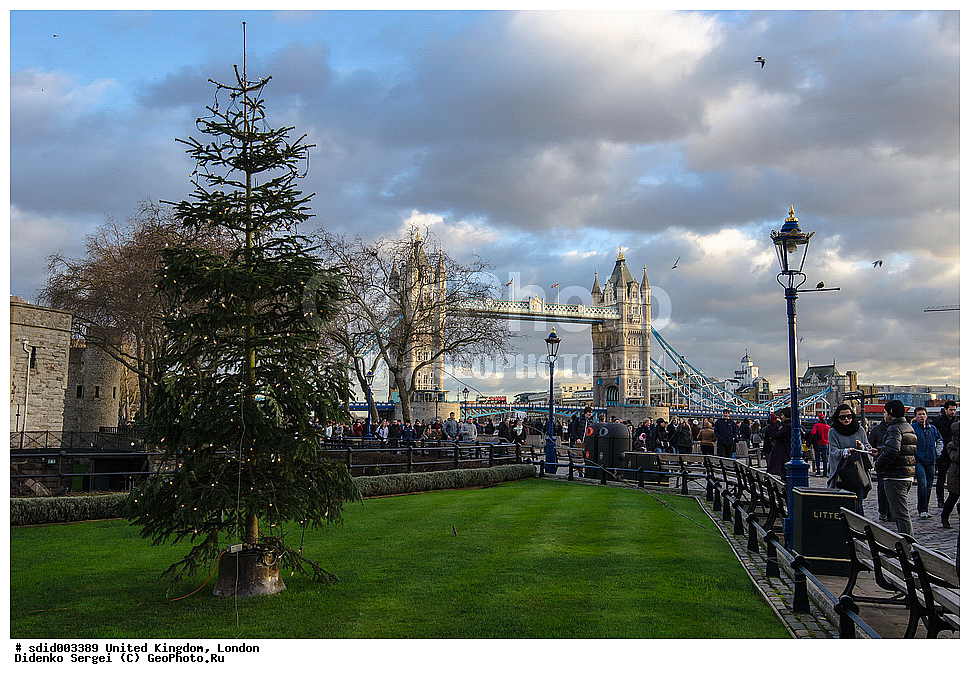 �����, ��������������, �����������, ������, �����, �����, ��������, �����, ������, ����, ������, ��������, ��������, ����, ���������, ���������,