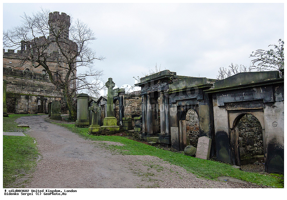 ��������������, �����������, ������, �������� �����, ����������� �����������, ����������� ������, ���������, ������������ �����, ������� �������, ������ ��������, ��������, ������, ��������,