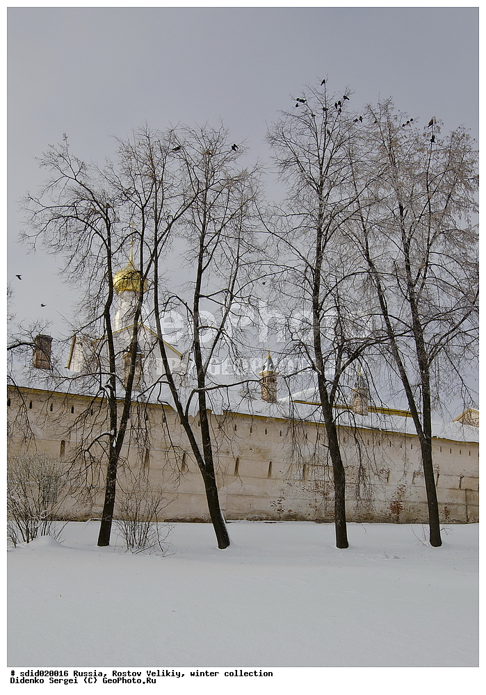 ���������� ������, ������ �������, ������, ����, ����, ������, ���������, ����������, ������, �������, ����������� �����, ������, �������, ������� ����