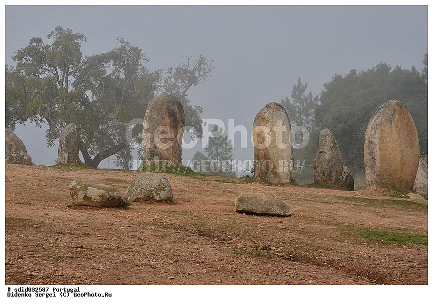 ����������, ������� ���������,  �������������� ��������, ���������� ��������� ��������, �������, ����� �������, ������, �����, �����, �����, �����, �������, � ������.