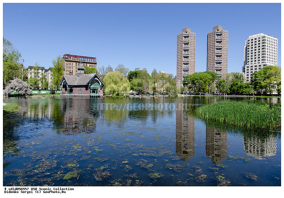 ���, ����������� ����, ���������, ��� ����, ����������, ����, ���������, �����, ������, ���-����