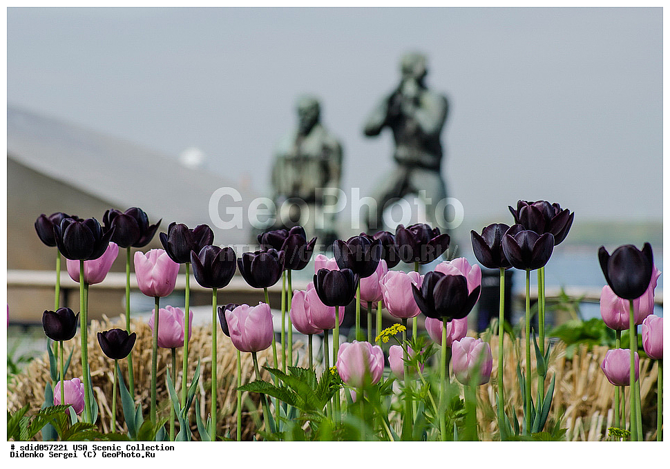 ���, ��� ����, ���������, �������-����, ���� ������, �������� ���������, �������� ����������, �������� ������������ ������� ��������� �����, �������� �������, ��������, ������ ��������, �����, ���-����