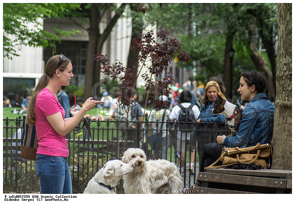 ���, ��� ����, ������, ��������, ���-����