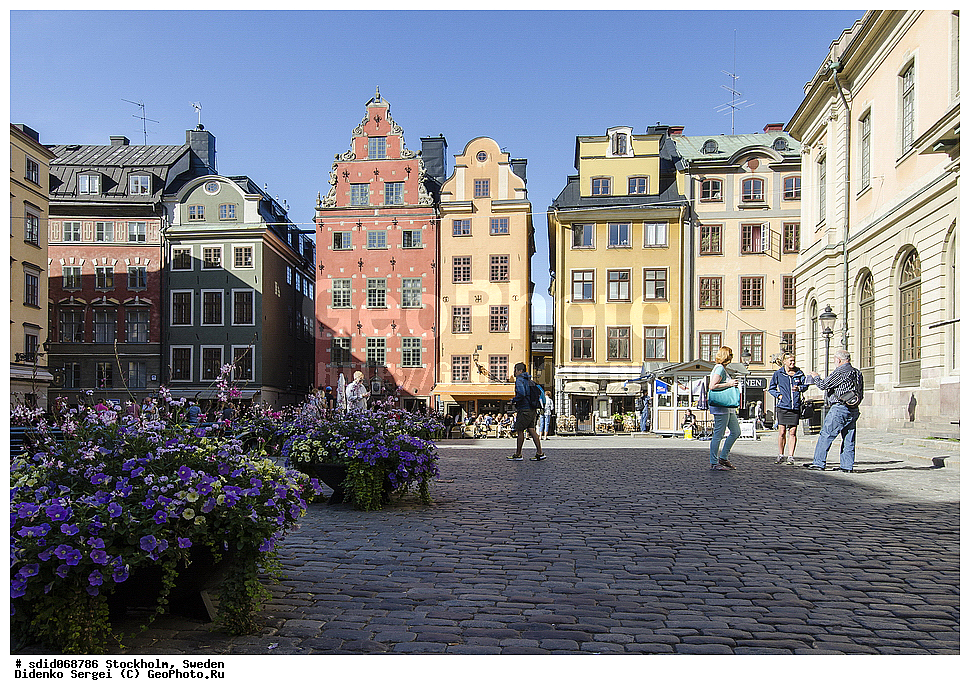  ���������, ������, ������� ����������