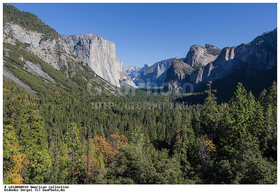 ������������ ���� ��������,  ����������, ���, �������, �����, ����, ���, ������ �����, ��� �������, �����, ���������