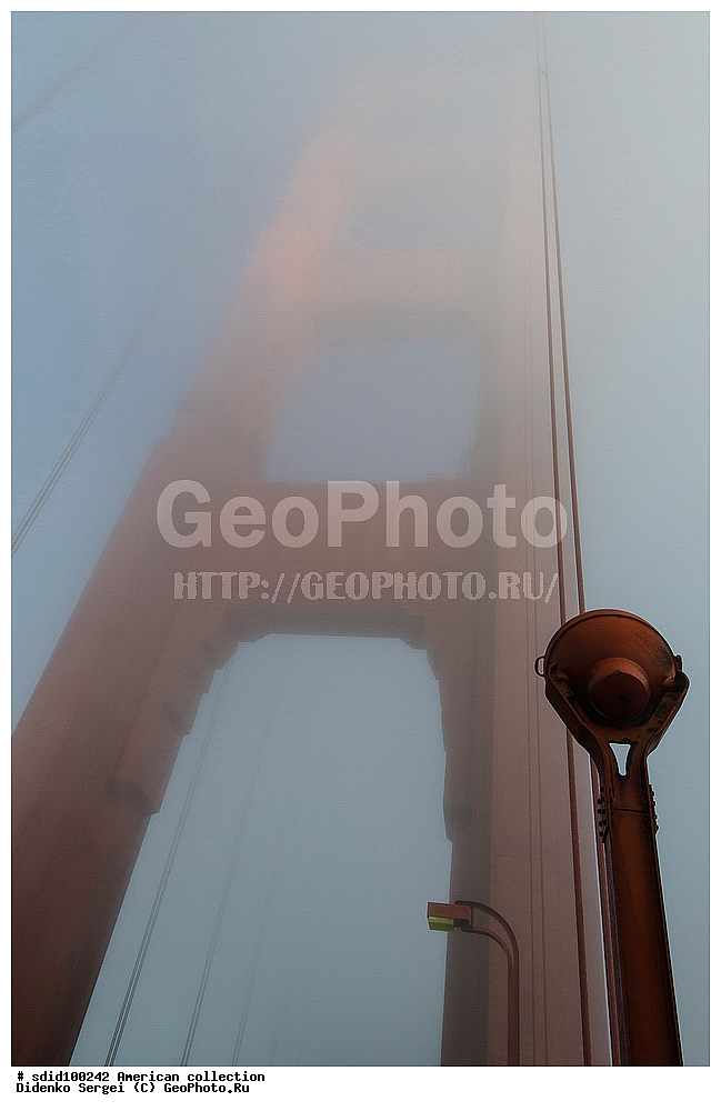 �����, ���� ������� ������, ��� ���������, �����, ���� ������������ ����, ����� �����, ����, ��� ���, ����������