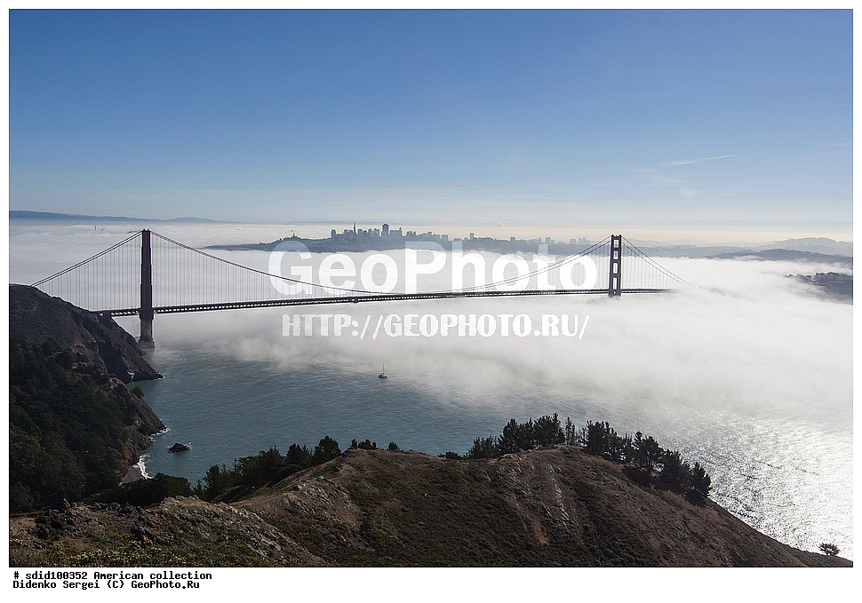 �����, ���� ������� ������, ��� ���������, �����, ���� ������������ ����, ����� �����, ����, ��� ���, ����������