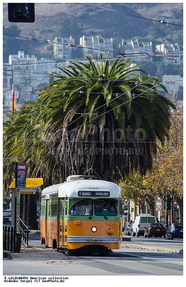 ��� ���������,  �������, ���, �����, �����,  ����, ���������, ��������� �������, ���-���������