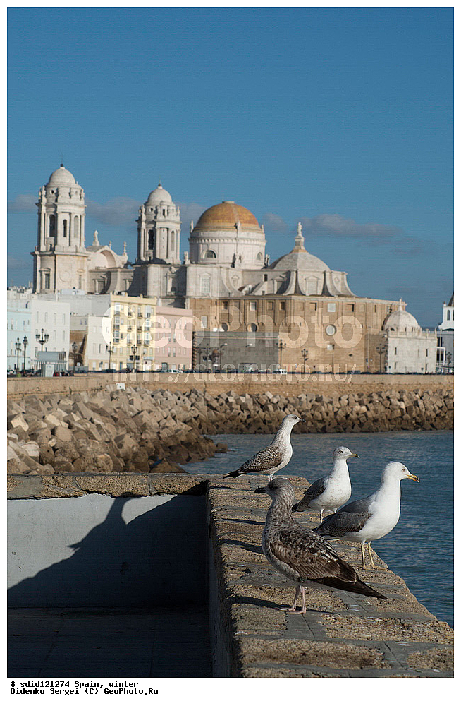 �������, �����, ���������, ���������, ������������ ����� ������� ������, ��������� ����� �����, ����, ����, �����, ����������� ����, ������������� �����, �����, �����, �����, ����������, ����, ������� ����, ������ �����, ��������� �����, ������� ����, �������, �����