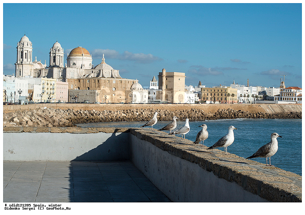 �������, �����, ���������, ���������, ������������ ����� ������� ������, ��������� ����� �����, ����, ����, �����, ����������� ����, ������������� �����, �����, �����, �����, ����������, ����, ������� ����, ������ �����, ��������� �����, ������� ����, �������, �����