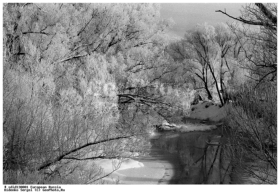 ���� �����, ���������� �������, ������, ������, �����, ����, ����, �������, ���, �����, �����, �����, 