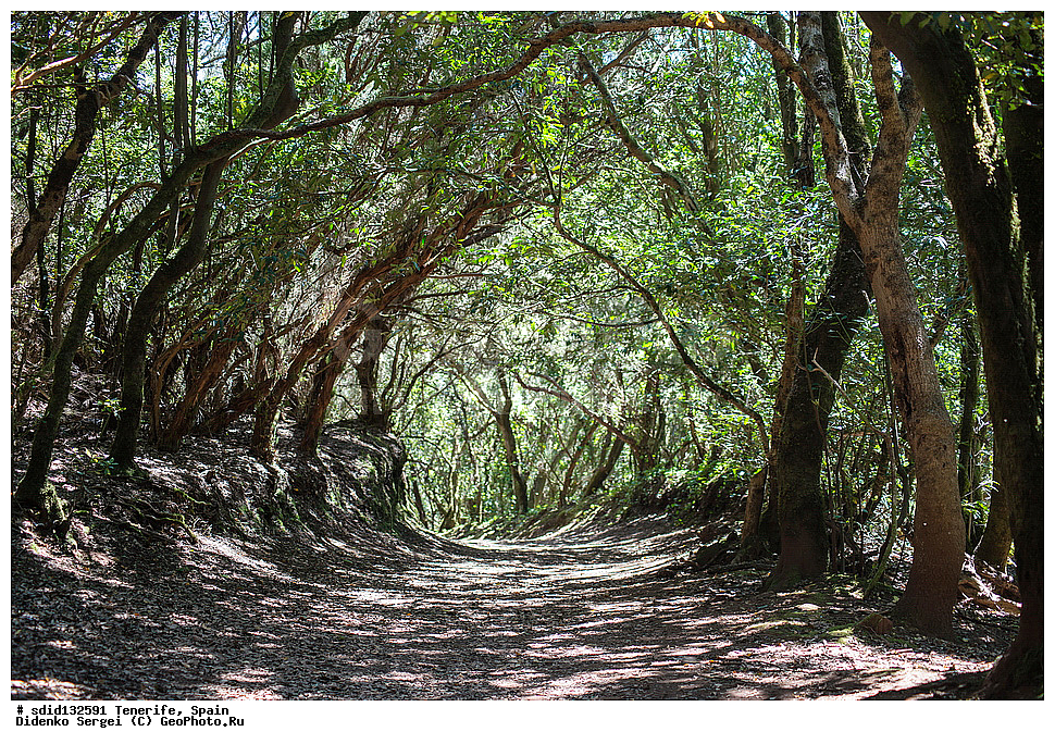 ���������� ���, �����, ��������, ��������� �������, �������, ���, �������, ����, ������, ����, �������, ��������, �����, �����, ������, 