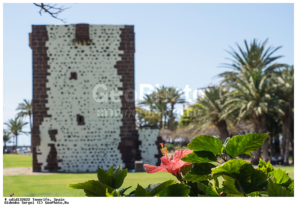 �������� �����, ��-������, ��������� �������, �������, ���-���������-��-��-������, ������, �����, �����, 