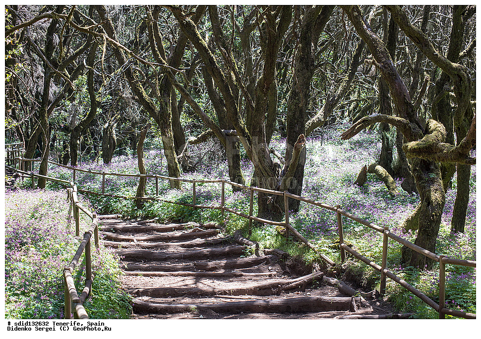 ���������, ������������ ����, ���������� ����������, ���������, �� ������, ���������� ���, ��������� �������, �������, �����, ���, ����� �������, �������, ����, ����, �������, ������, �����, ������, �� �����, ��������, ���������� ��������, 