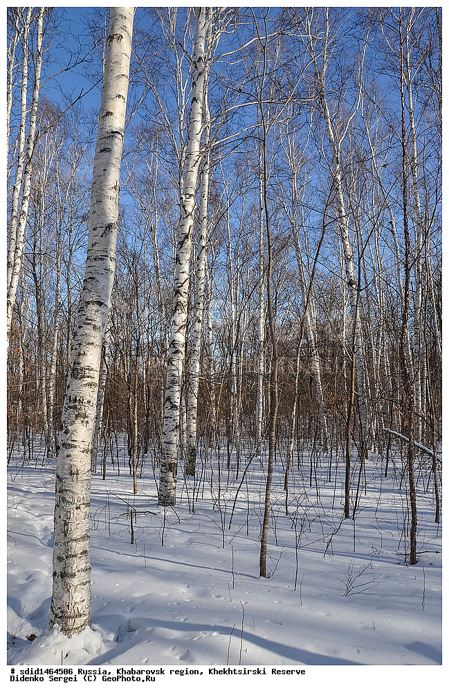 ������, ����������� ����, ���������� ����������, ����, ����, ������, �����,