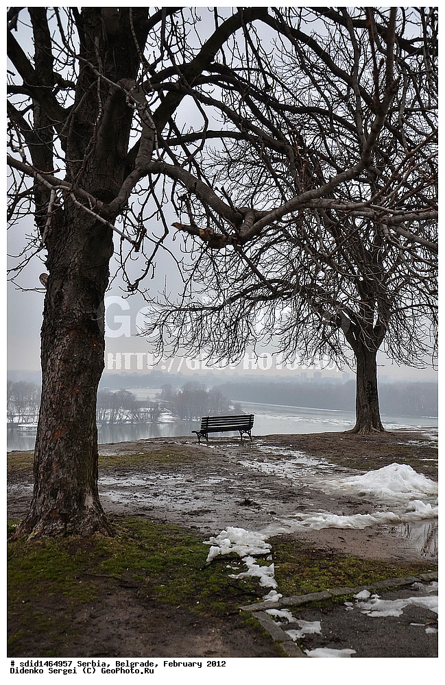 ������, �������, �����������, ����