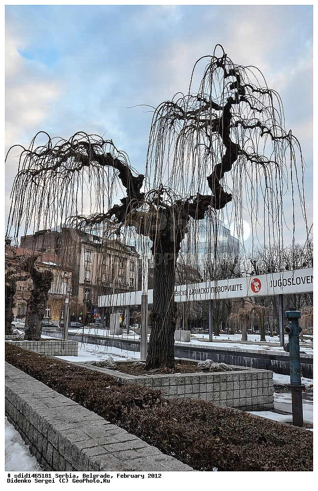 ������, �������, �����������, ����