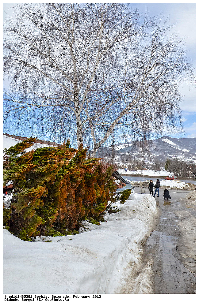 ������, �������, �����������, ����