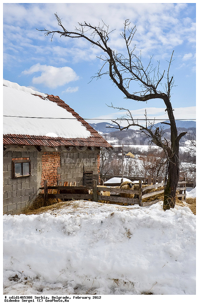 ������, �������, �����������, ����