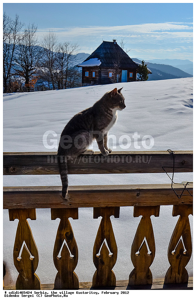 ������, ������� ���������, �����������, ����, ���� ���������, ���������, ���������, ����������, ��������, ��������, ��������, ������, ����� ����, ����� ��� ����, ���������� ����, �����, ��������, ����, �����������, ����, ����, ������ ������, 