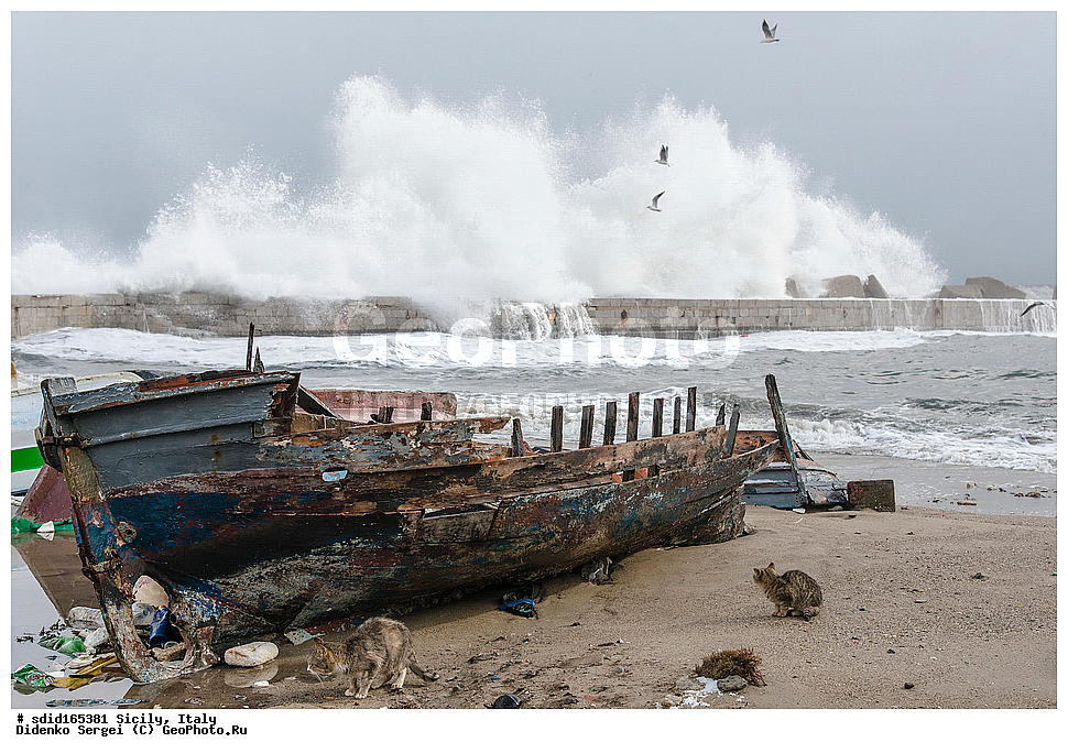 �������, ������, �������, ������, �������, ����, ����, ����, ����������, �����������, ����������, ���������������, ������, �������������, �������, ���������, ������� ������, ������, ���������, ����������� ���������, ������,  �������, �����, �����, �����, �����, �����, �����, �����, ������, �����