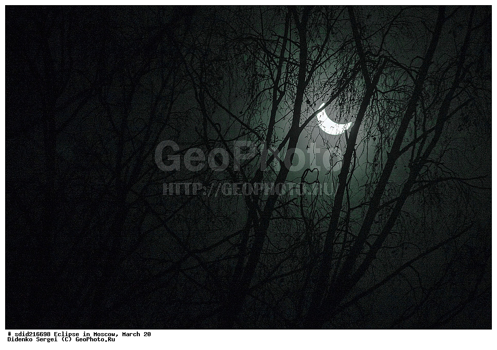 ��������, ������, ������, ����, 20, ����, ��������� ��������